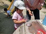 おひさまランド　園庭で遊ぼう♪