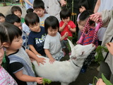 エミルちゃん、大きくなったね、そして・・・