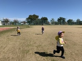 秋のお散歩はじまりはじまり〜