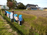 稲刈り体験に行ってきました♪