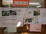 はたけ新聞