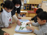 あけましておめでとうございます。