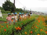 １０月　ばら組だより