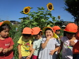 夏の幼稚園