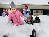 雪がまた降ってきました
