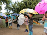 雨の日のお散歩