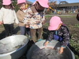 氷の朝
