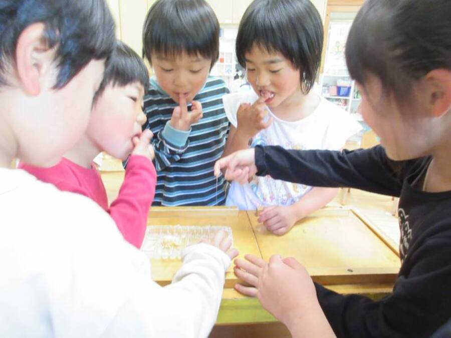 地域の養蜂家さんにはちみつをいただき、みんなでペロリ。おいしすぎてなかなか手が止まらないほど。ハチの巣もくださり、子どもたちはきれいな巣に目を輝かせていました☆彡はちみつ搾り体験を楽しみにしている子どもたちです。