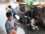 とうとう・・・