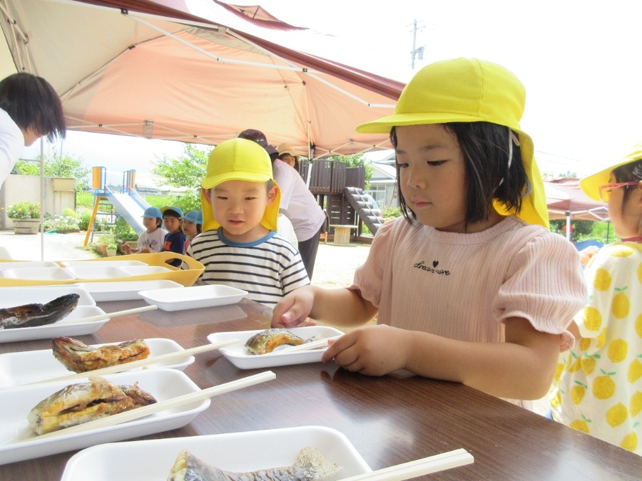 いわなのつかみ取りに挑戦!生きた魚を素手でつかまえるのはドキドキ・・・「キャー!怖い」となかなか近づけない子もいましたが、ばら組さんにも励まされ、勇気を出して捕まえました!一度捕まえると慣れて、何度もキャッチ&リリースを繰り返して楽しむことができましたよ。片田さんにイワナを焼いていただき、いただきまーす♪美味しくて頭もしっぽもぺろりと完食する姿に驚きました!!