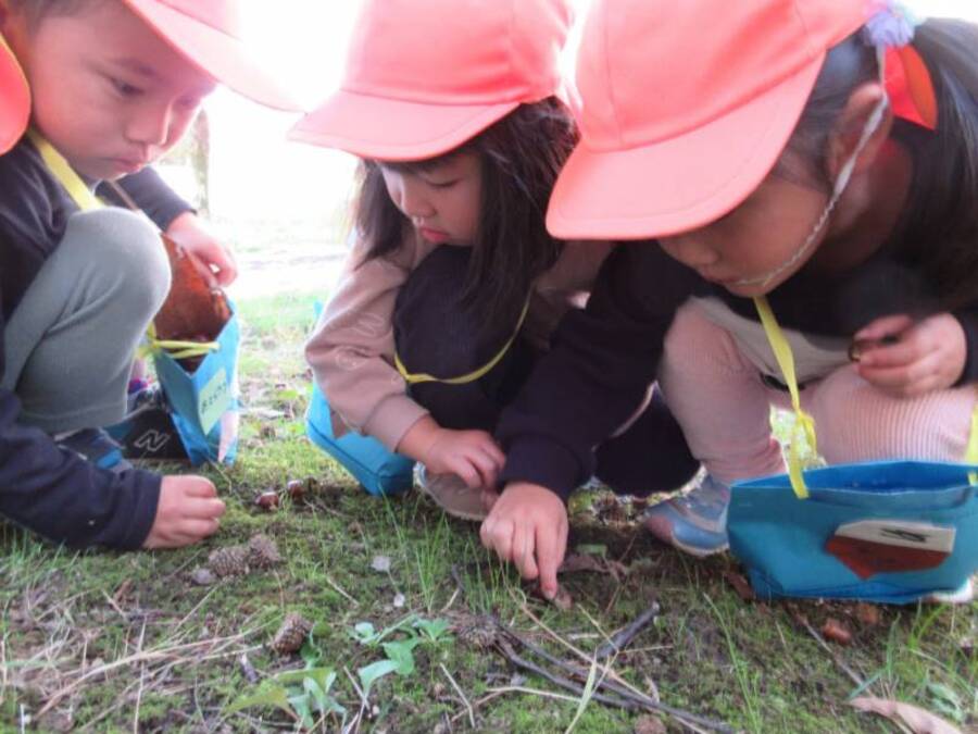 「きっきっきのこ、きっきっきのこ♪」子どもたちが大好きな歌です。吉江中学校の中庭で小さなきのこを発見!「どくきのこかもしれんからさわったらだめやよ」と恐る恐るみんなで観察していました。他にもいろいろな秋を見つけました。