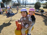ぽかぽかいいお天気