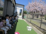 5月　たんぽぽ・つくし・つぼみ組だより