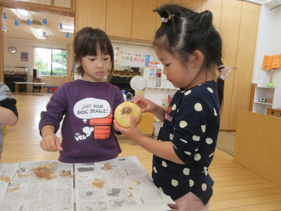 みんなでカレー作り!朝から「もうエプロン着とく?」とやる気満々!!玉ねぎの皮をむいたり、ばら組さんとペアになって野菜の皮をむいたりしました。ピーラーが上手く扱えず、「難しい・・・」と苦戦する様子もありましたが、ばら組さんが押さえていてくれたり、「もうちょっとここも剥いて」と優しく教えてもらって全員剥くことができましたよ。しばらくすると園内中にいい匂いが漂ってきて、覗きに行ってみると「いい匂い♪お腹すいた~」の大合唱。給食の時は、ぺろりと完食でした。自分たちで作ったカレーはよりおいしく感じたね♪
