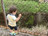 おさんぽ・おさんぽ