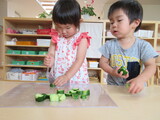 でんでんむしのごはん作ろう