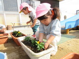 きれいに咲きますように・・・。