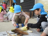 6月　ばら組だより