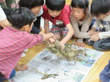 大豆を知ろう