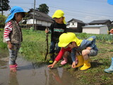 雨上がりのあとは・・・。