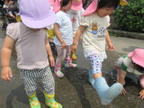 7月　たんぽぽ・つくし組だより