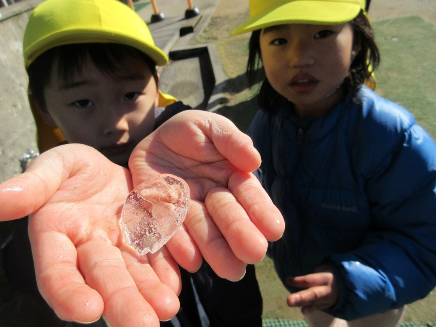 朝、園庭に出てみると小さなスコップの中に氷を発見!「なんでこんなとこにあるのかな?」「あ!ここにたまっとった水が凍ったんじゃない?寒いからや!」と冬の季節の訪れを身体で感じることが出来ました♪「氷作ってみよ!」とカップに入れてみましたが、なかなか出来ず…悔しい思いをしながらも寒さの中に陽の光が暖かく、遊んでいても「あっつーい!」と元気いっぱいの子どもたちです♪