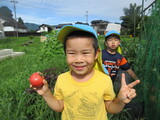今日たくさんの収穫