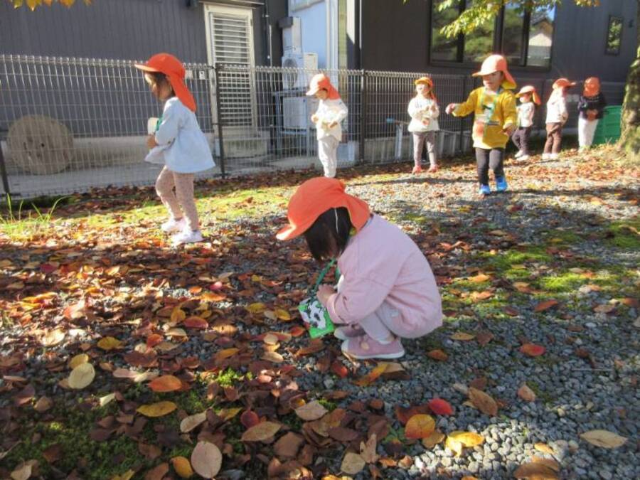 お部屋から見えるお隣さんの桜の木。秋になりきれいな紅葉を毎日楽しみました。お散歩バックを持って木の下に行ってみると綺麗な葉っぱがたくさん!「こんな色のあった!」と見せ合ったり、「せーの!」で上に投げて落ち葉のシャワーをしたり。葉っぱが落ちてしまい枝だけになってしまった桜の木ですが、冬にも素敵な景色を見せてもらえそうとワクワクしています♪
