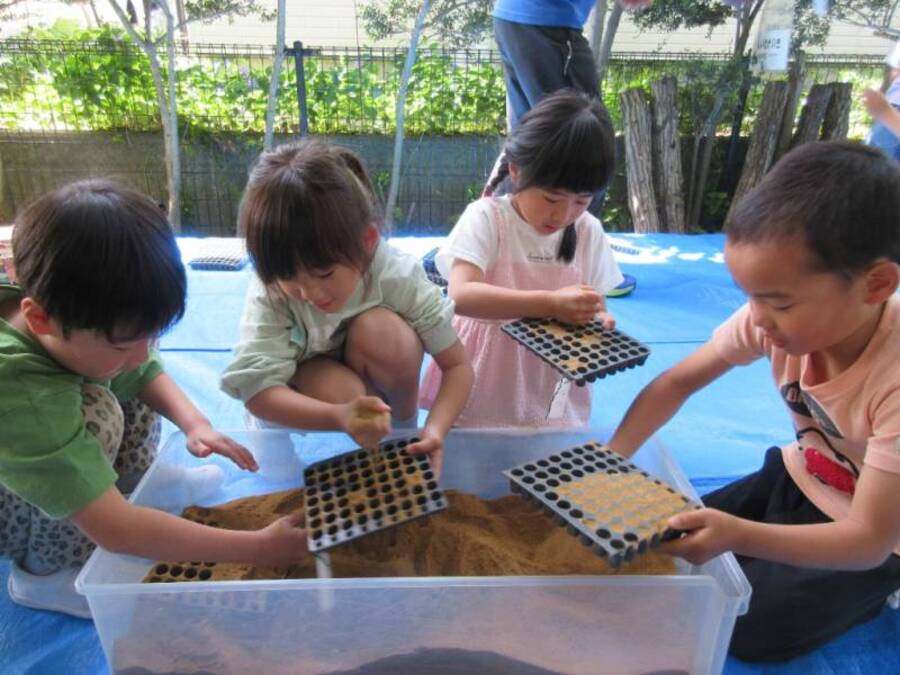 なべちゃん農場の渡辺さんに来ていただき、播種作業を体験させていただきました。芽出し用の小さな穴に3~5粒ずつ種もみをいれていく作業を子どもたちは楽しみながらも大変さを感じていました。今後この苗を渡辺さんの田んぼで田植えをし、秋には稲刈りをさせていただきます。稲作だけでなく、田んぼの生き物を観察する「生き物調べ」やヤギのげんちゃん、まいちゃんとのふれあいもさせていただく予定です。渡辺さんから自然の大切さをたくさん教えていただきたいと思います。どうぞよろしくお願いします。
