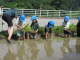 なべちゃん農場　田植えの巻