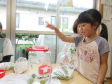 梅ジュースの仕込み完了